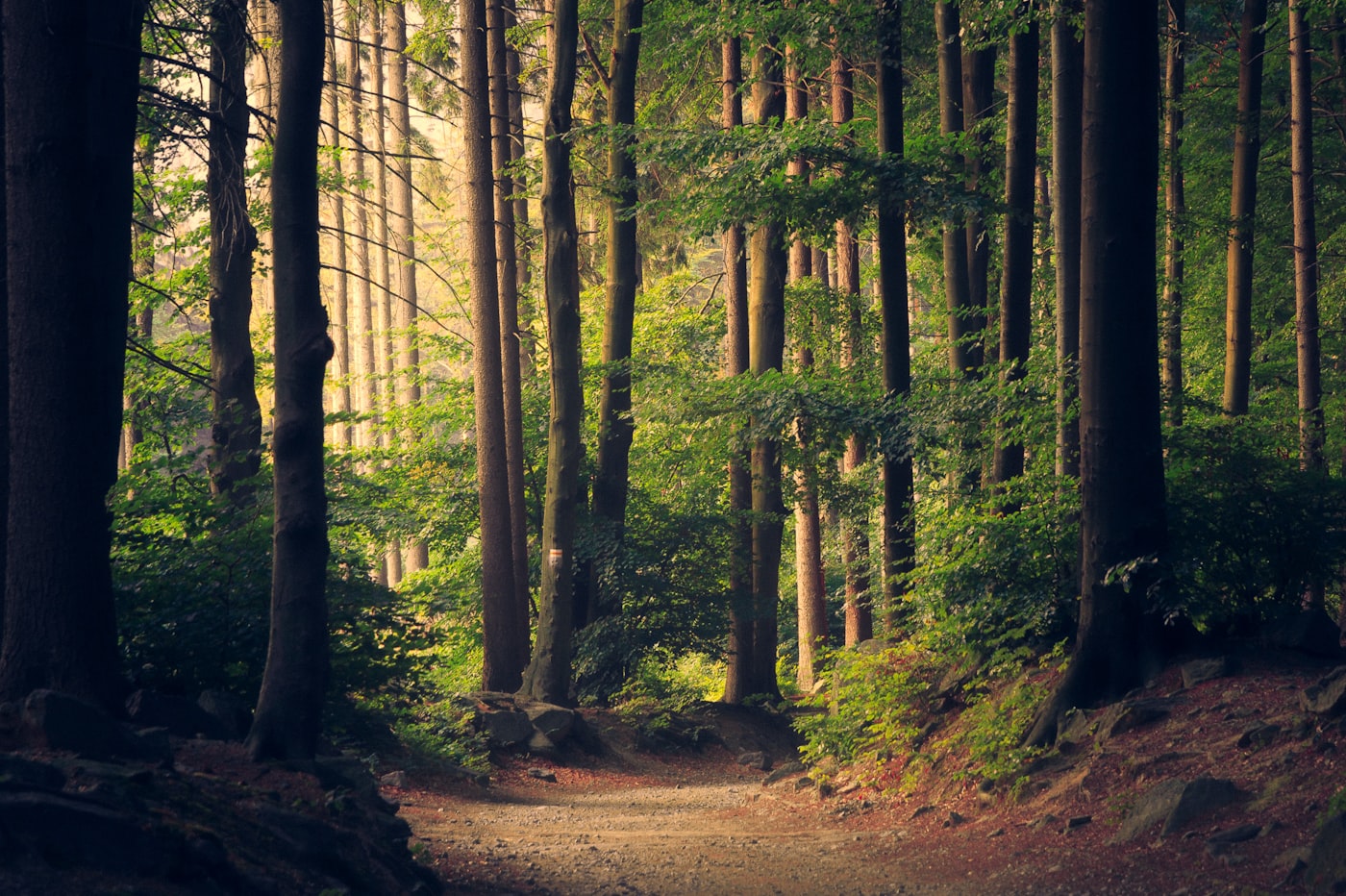 Sustainable sourcing